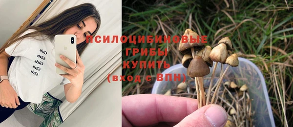 метадон Алексин