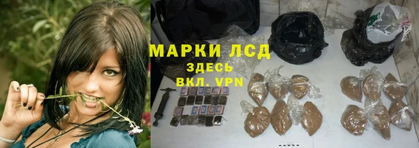 мяу мяу мука Алексеевка