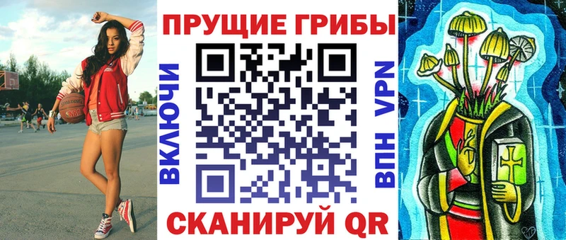 сколько стоит  Йошкар-Ола  Галлюциногенные грибы Psilocybine cubensis 