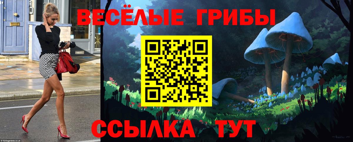 Псилоцибиновые грибы прущие грибы Йошкар-Ола