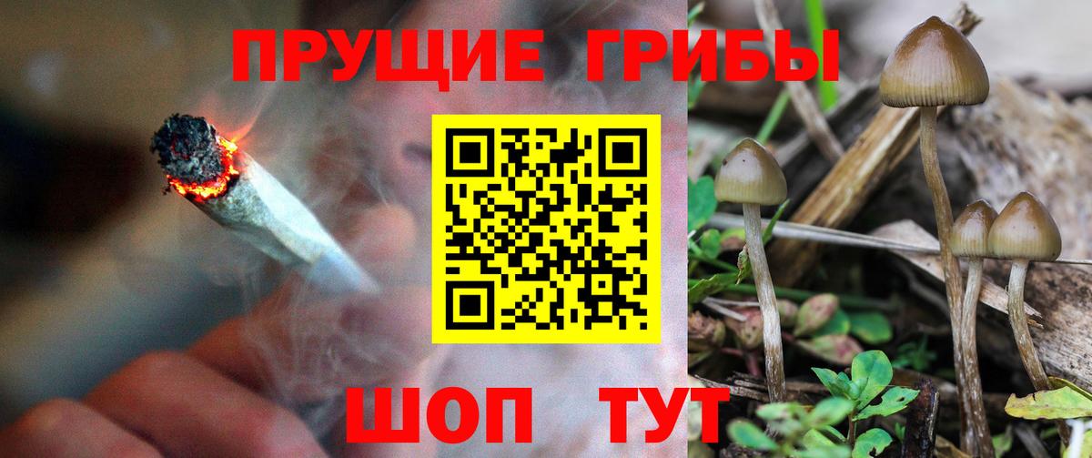 Псилоцибиновые грибы Magic Shrooms  Вход с VPN  Йошкар-Ола 